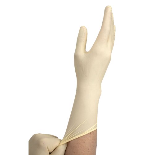 Latex Surgical Gloves Powder Free